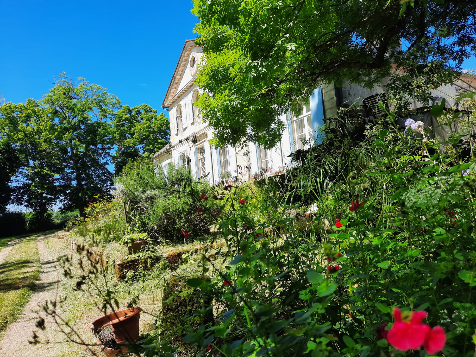 Château de Laroque vue 3